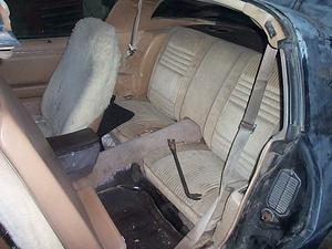 Notice the Hi-Tech seat extraction tool!