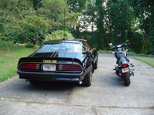 My two egosleds