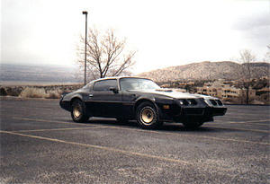 Her car has the Olds 403 motor, WS6 suspension, power windows, power door locks,and custom color keyed seatbelts that match the camel tan interior.  It also came with a power antenna, and yet was a radio delete car.