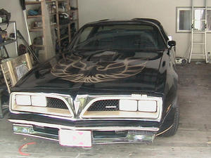 Front on