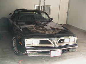 Front on (2)