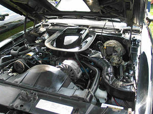 Pure 400 ci. of Pontiac power.
