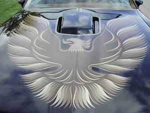 1128217456030_79_trans_am_blk_038