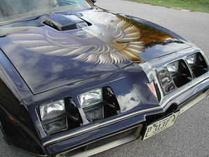 1131419800086_79_trans_am_blk_037