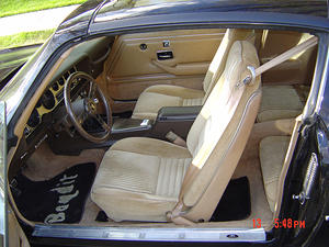 Pic010