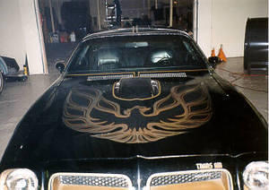 The bird had pretty much had it, new decals and striping from Phoenix Graphix are going to be used on the new paint job.
