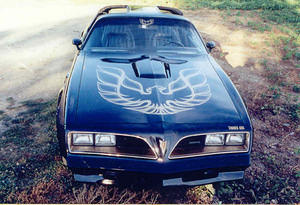 transam5