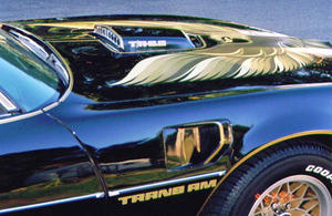79 TA-3a