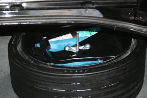 Trunk shot.