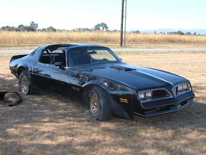 Trans am1