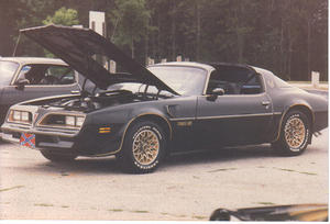 bandit6
