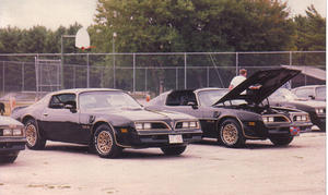 bandit7