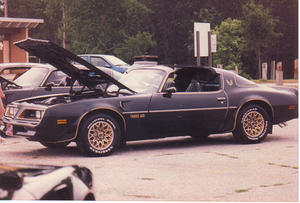 bandit9