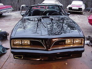 Just from the paint shop, no windshield yet, we set the front grilles in place for the picture. It was an overcast day . . .