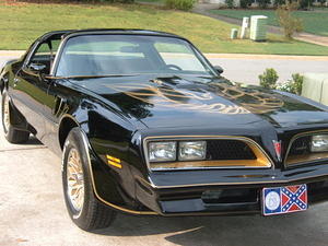 The Bandit