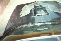 This is how the car looked when I first got it.  The Arizona sun had really faded the bird and the paint.  The car was purchased new at Bud Beck's Pontiac in March of 1977 in Phoenix and spent it's entire life there.