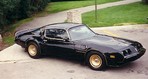 Taken just after it was purchased,
note the wrong bird on the hood