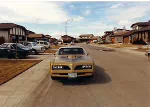 My 1st SE TA 1978 400Blue Block - I think this was the best nose on all of the cars. It has that evil bucktoothed grin with the front plate