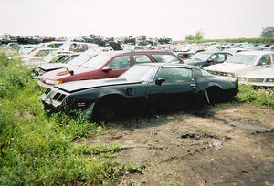 There were 8 cars beside this beauty before I found it,waiting to be crushed!..Lucky I got to it in time!